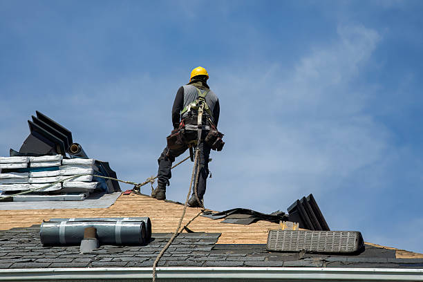 Professional Roofing technician working in Rumsey, CA
